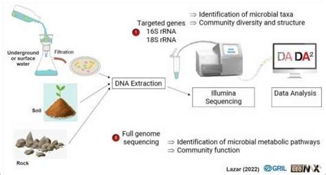 Schematic illustration of genomic methods applied to microbial ecology ...