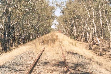 Narrandera Station