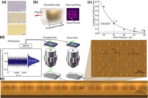 Direct observation of quantum percolation dynamics