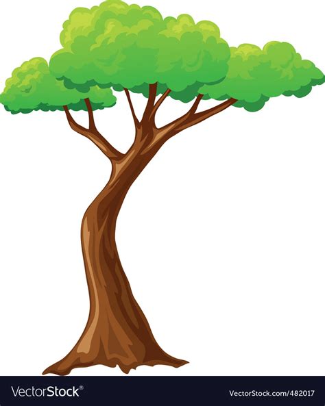 Cartoon tree Royalty Free Vector Image - VectorStock