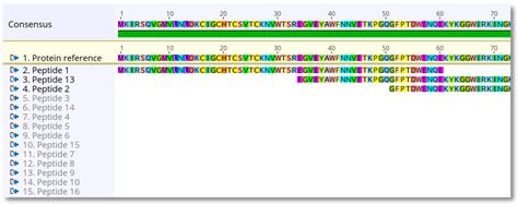 How do I map peptides to a protein sequence? – Geneious