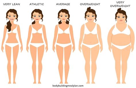 Body Fat Percentage Calculator: Caliper, Circumference, Or Visual