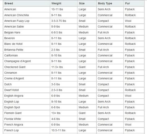 Rabbit Care Center: List of Domestic Rabbit Breeds