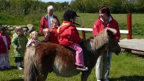 Løkken | Experiences | Activities | Pony riding | Pony l Horses l ...