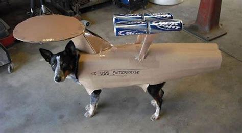 Star Trek Dog | Pet halloween costumes, Funny dog pictures, Pet costumes