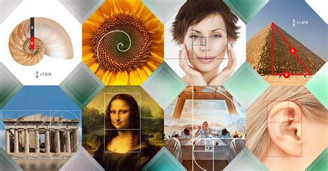 How to Use the Golden Ratio in Design (with Examples)