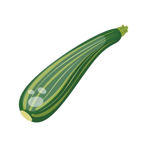 Zucchini vegetable, vector illustration 2813587 Vector Art at Vecteezy