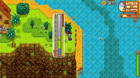 How to catch a Rainbow Trout fish in Stardew Valley - YouTube