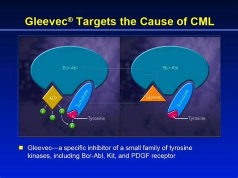 Imatinib mesylate is not entirely selective for the Bcr-Abl tyrosine kinase; it also inhibits the