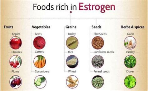 Foods That Can Actually Lower Estrogen Levels Estrogen Rich Foods, Low Estrogen, Estrogen ...