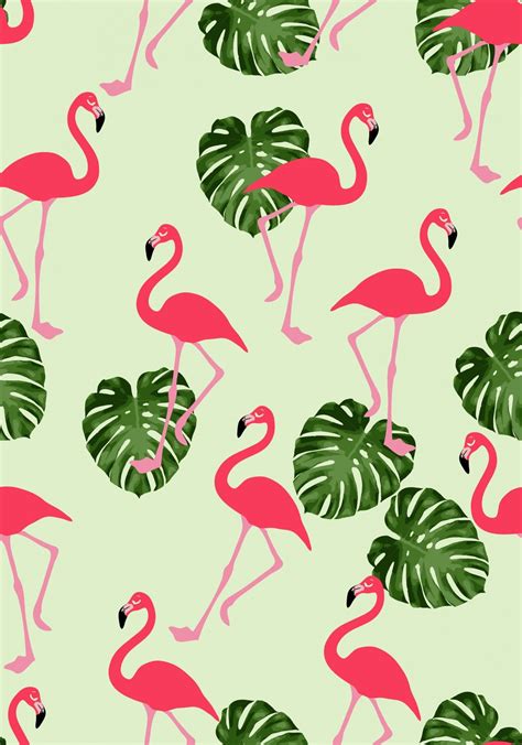 Afbeeldingsresultaat voor flamingo wallpaper Flamingo Wallpaper, Iphone Wallpaper Pattern ...