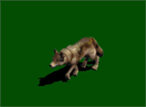 Wolves at Animated-Gifs.org