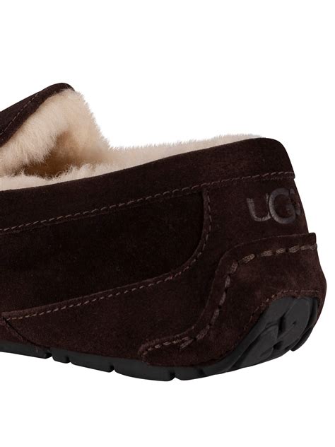 UGG Ascot Suede Slippers - Espresso | Standout