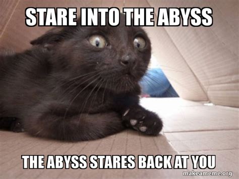 Stare into the abyss The abyss stares back at you - Schitzo Cat Meme Generator