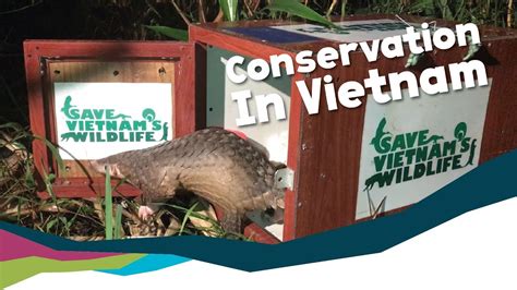 Save Vietnam's Wildlife - Conservation Partners Around the World - YouTube