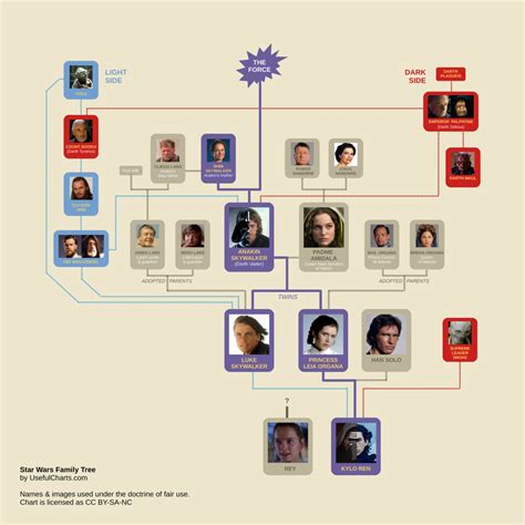 Kylo Ren And Rey Family Tree | Family Tree