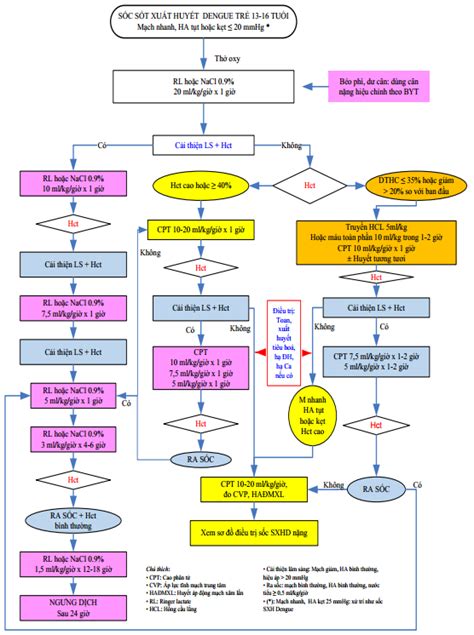 Phác Đồ Điều Trị Sốt Xuất Huyết Trẻ Em: Hướng Dẫn Chi Tiết và Hiệu Quả