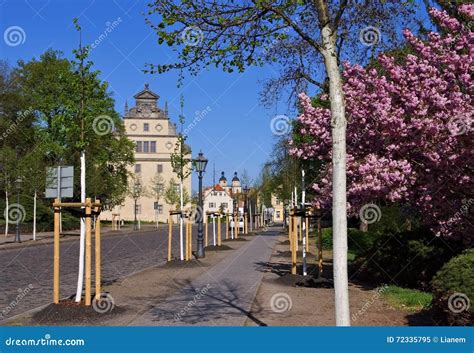 Wittenberg, the old town stock image. Image of church - 72335795