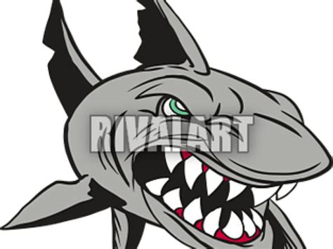 Shark Clipart Mean - Mako Shark Drawing - Png Download - Full Size Clipart (#5319942) - PinClipart