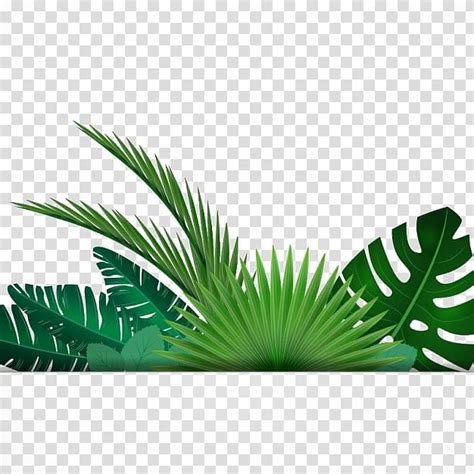 Green leaves illustration, Leaf Tropics , Banana leaf background transparent background PNG ...