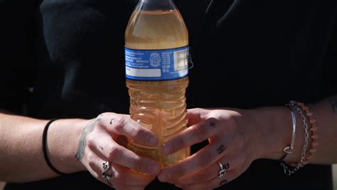 State's handling of Flint water samples led to delay in action