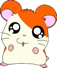 Crunchyroll - Hamtaro - Overview, Reviews, Cast, and List of Episodes - Crunchyroll