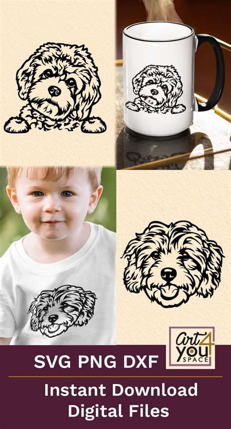 The cute Cavapoo dog svg png dxf files, black and white graphics Silhouette Cameo Software ...