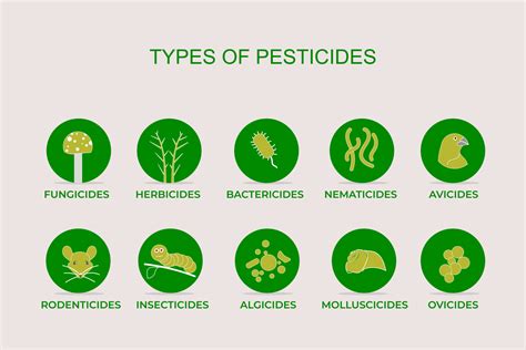 Insecticides And Pesticides