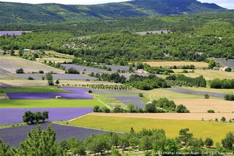 La route de la lavande en Provence | Paysage france, Paysage de provence, Paysage de plaine