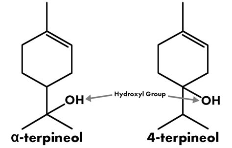 Terpene University: Part 6 - Terpineol - Omega Equipment & Supply Blog