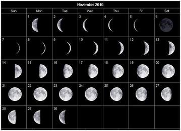 Lunar Cycle/Calender - Moon Phases