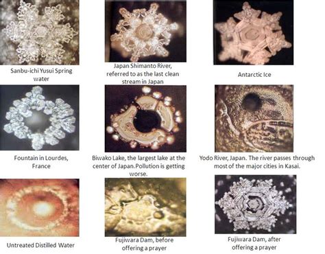 thoughts make the difference! | Masaru emoto, Structured water, Water experiments