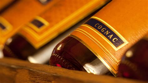 11 Best XO Cognacs to Drink in 2023 - MyBartender