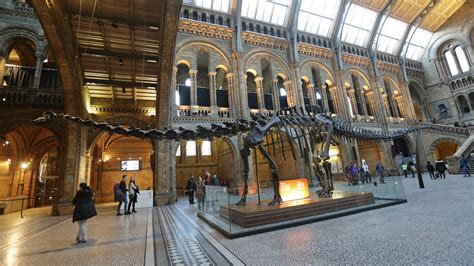 Natural History Museum’s Dippy the Diplodocus begins UK tour | BT