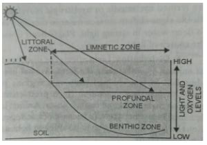 Given figure represents the different zones of a lake or a pond ...