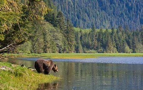 100 BC Moments - Nature and Wildlife Viewing in BC | West coast canada ...