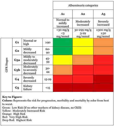 Estimated Glomerular Filtration Rate (eGFR) | National Kidney Foundation