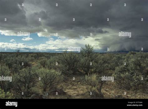 Advancing Storm Front Near Hart Mountain Wildlife Refuge, Frenchglen, Oregon Stock Photo - Alamy