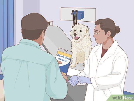 3 Ways to Prevent Worms in Dogs - wikiHow Pet