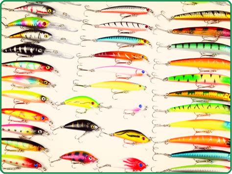 West Neck Creek Ramblings: Choosing Lure Colors Is Anything but an ...