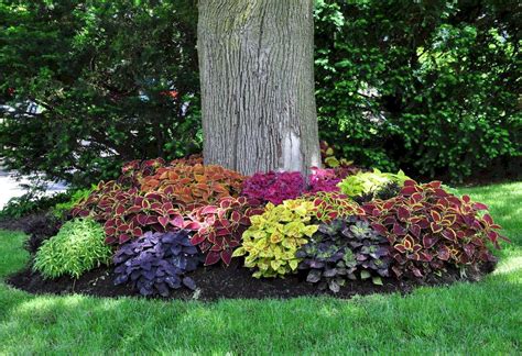 Cheap landscaping ideas for your front yard that will inspire you (6) - Lovelyving | Landscaping ...