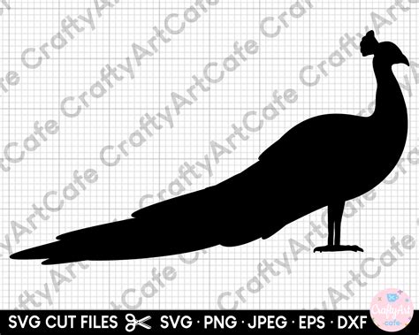 Peacock Silhouette Svg Peacock Silhouette Png Peacock Cut File for ...