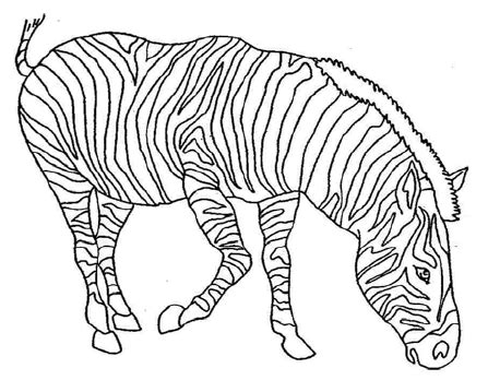 An outlined zebra containing lines depicting pigment boundaries.... | Download Scientific Diagram