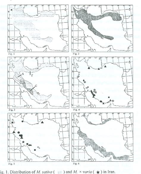 Figure 5 from THE GENUS MEDICAGO IN IRAN: BIODIVERSITY AND VARIATION CENTERS | Semantic Scholar