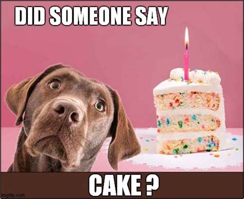 A Dogs Birthday Wish ! - Imgflip