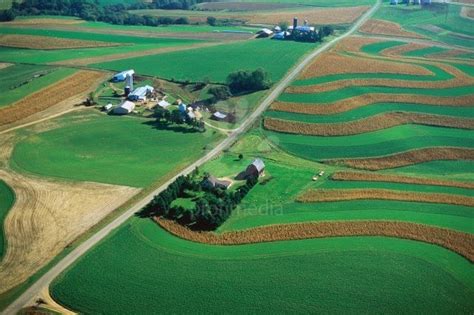 Amoia Cody Studio - NYIT Thesis - 2010-11: Strip Farming