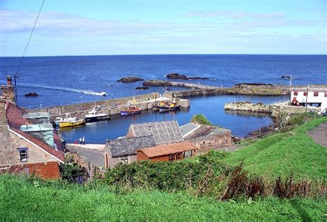 The harbour, St. Abbs © Lynne Kirton cc-by-sa/2.0 :: Geograph Britain and Ireland