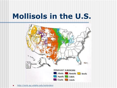 PPT - Soil Geography PowerPoint Presentation, free download - ID:976962