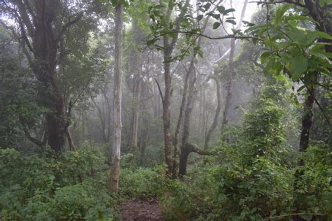 Mount Popa: Hiking to its True Summit - MYANMORE