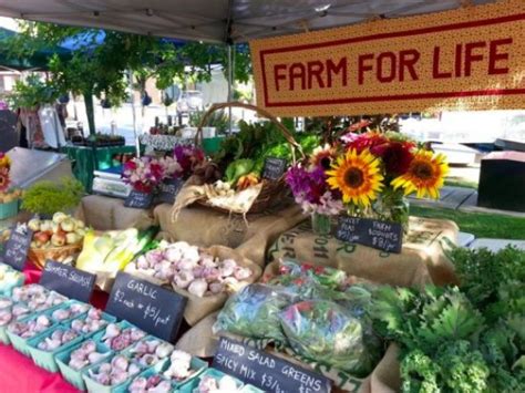 Forest Grove Farmers Market - 2020 All You Need to Know BEFORE You Go (with Photos) - Tripadvisor